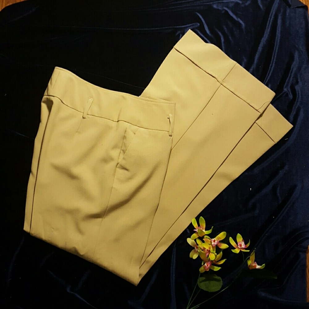 NWOT Tan dress pants!